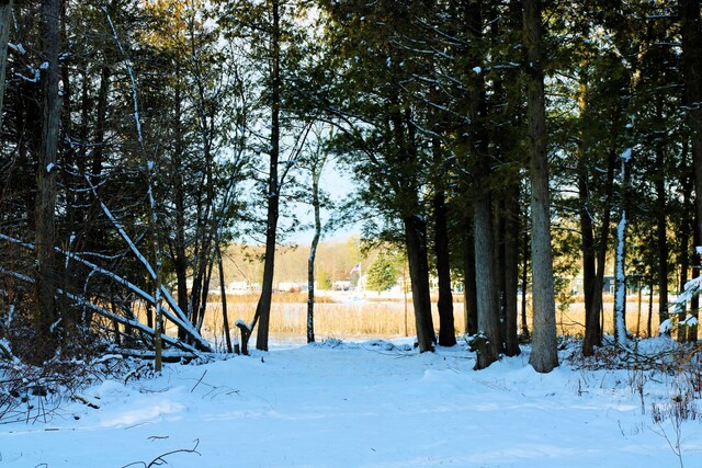 17157 Spruce Cove Trl, Gowen, MI 49326 - photo 21