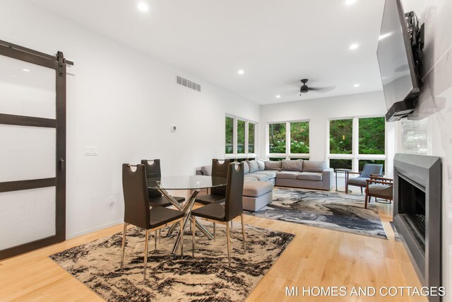 living room featuring a barn door, ceiling fan, and light wood-type flooring