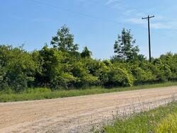 Listing photo 2 for V/L Newaygo Rd, Casnovia MI 49318