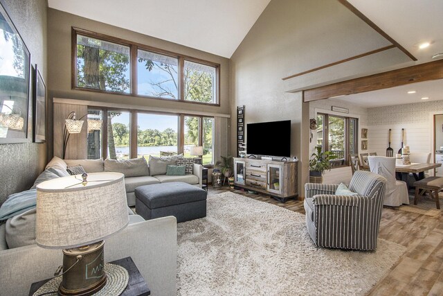 living room featuring high vaulted ceiling, light hardwood / wood-style flooring, and a healthy amount of sunlight