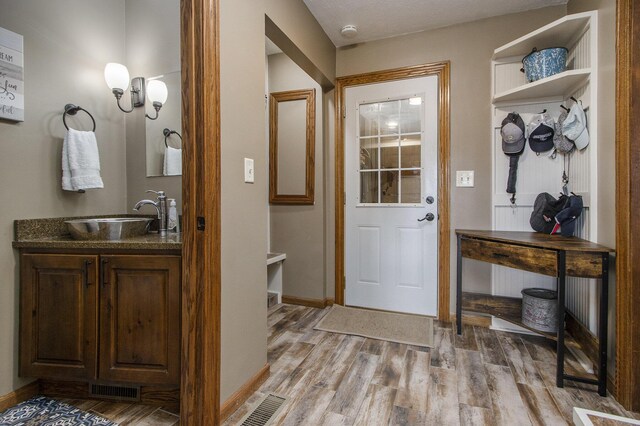 foyer entrance featuring sink and light hardwood / wood-style floors