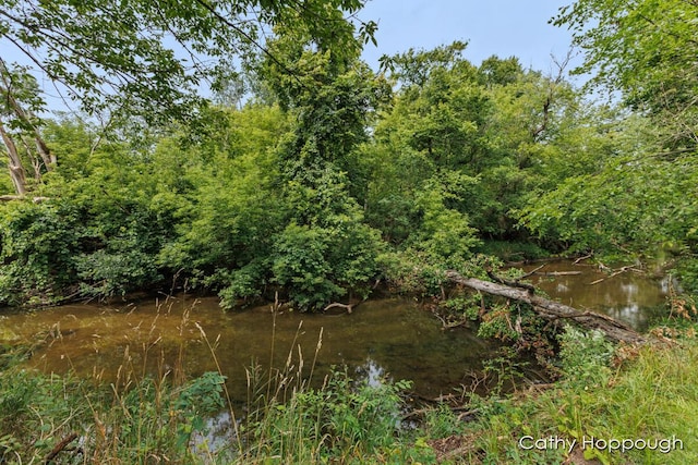 view of local wilderness featuring a water view