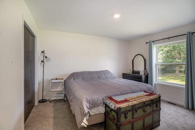 bedroom with carpet flooring