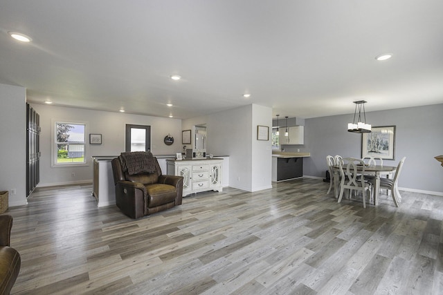 living room featuring light hardwood / wood-style floors