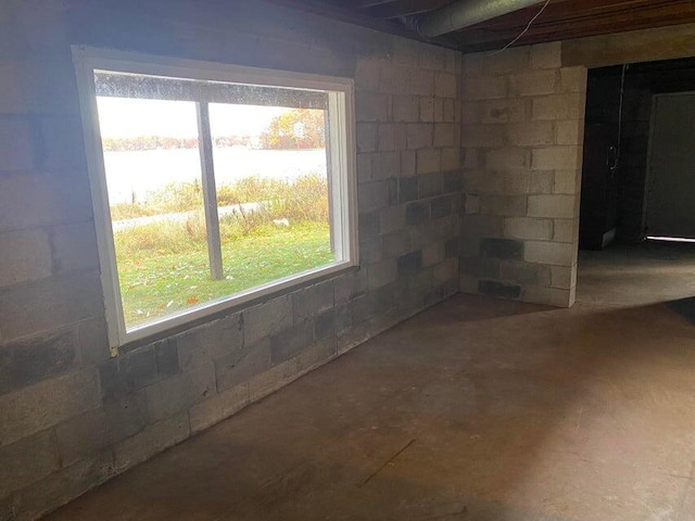 basement with plenty of natural light