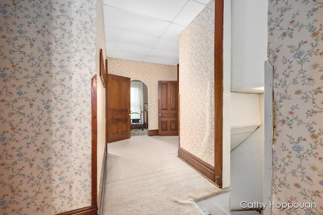 corridor featuring carpet flooring and a drop ceiling