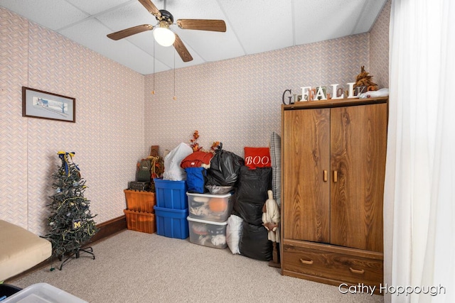 storage room with ceiling fan