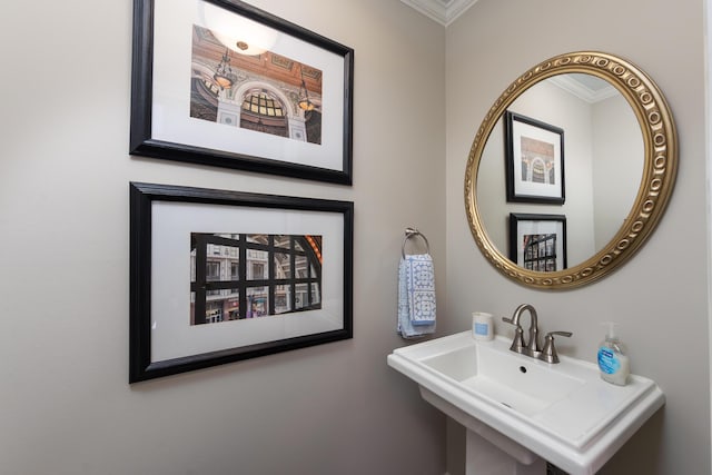 18760 Valencia St, Northville, MI 48168 - bathroom with crown molding and a sink