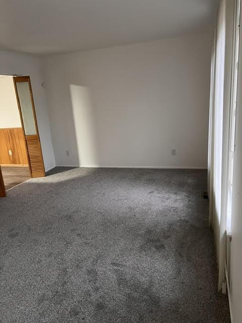 empty room with carpet flooring