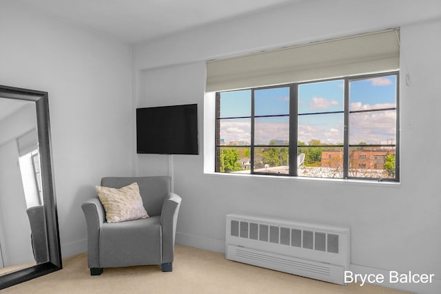 carpeted bedroom with radiator heating unit