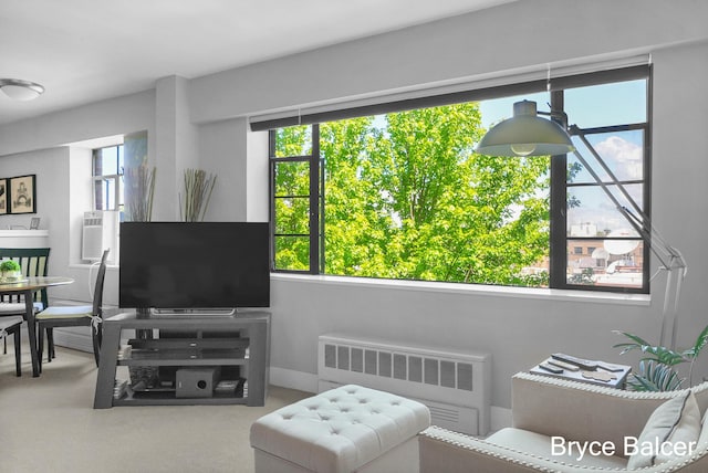 carpeted living room featuring radiator and a wealth of natural light