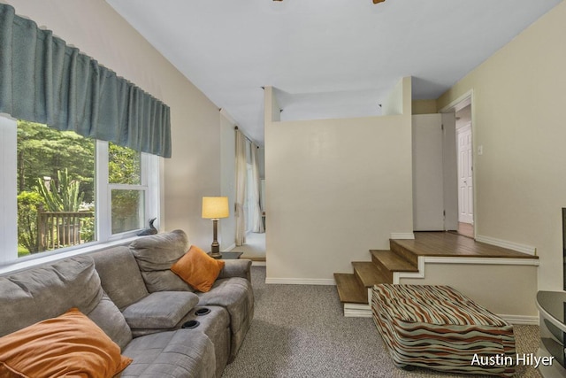 view of carpeted living room