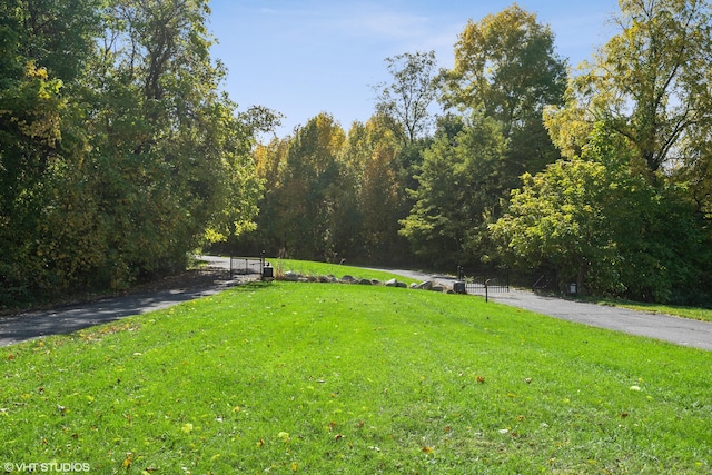 view of property's community featuring a lawn