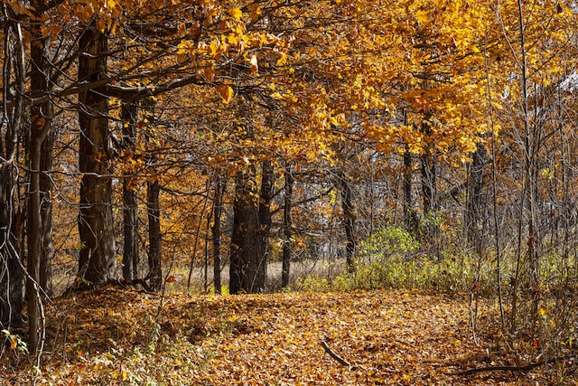 view of landscape