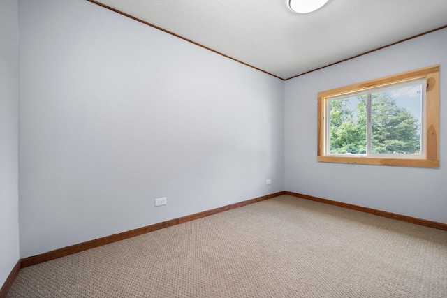 carpeted spare room with crown molding