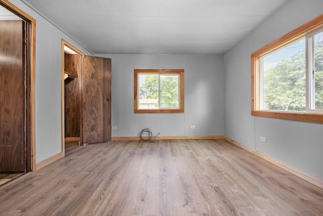 spare room with a healthy amount of sunlight and light wood-type flooring