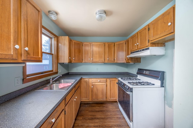 kitchen featuring white gas stove, dark hardwood / wood-style floors, and sink