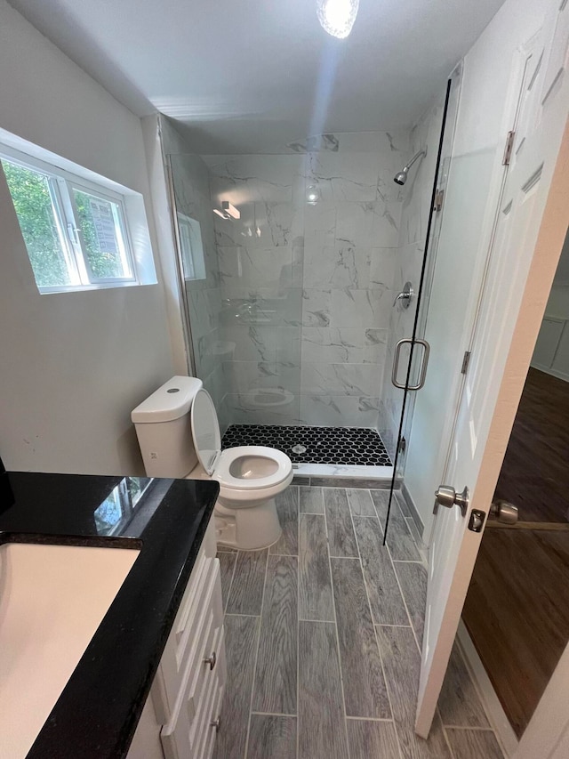 bathroom featuring vanity, walk in shower, and toilet