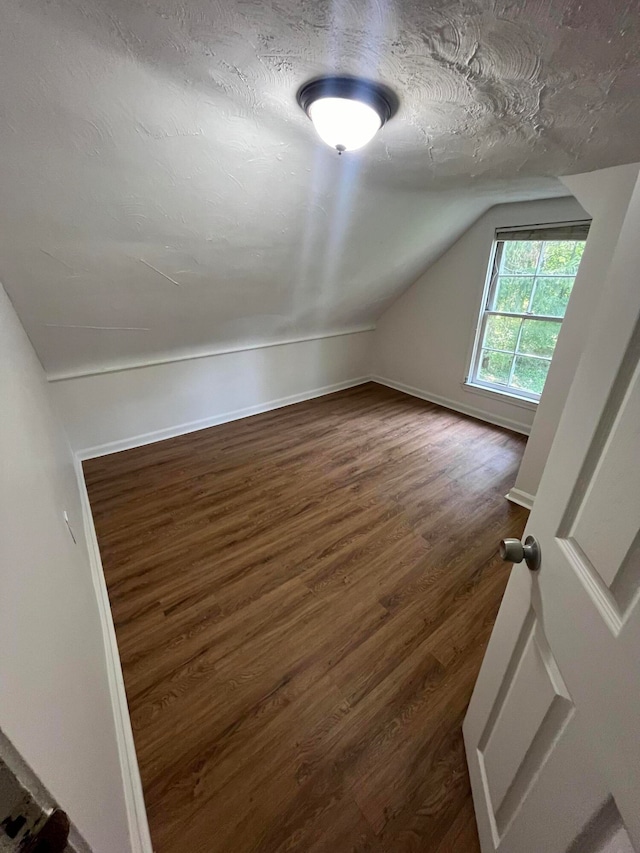 additional living space with lofted ceiling and hardwood / wood-style floors