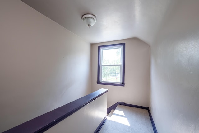 additional living space with vaulted ceiling and carpet