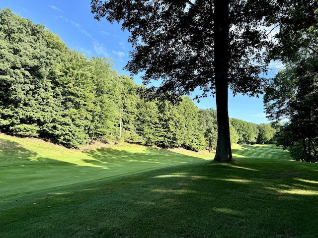 9557 Aberdeen Ct, Canadian Lakes, MI 49346