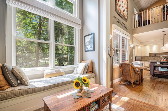 living area featuring light hardwood / wood-style flooring and high vaulted ceiling