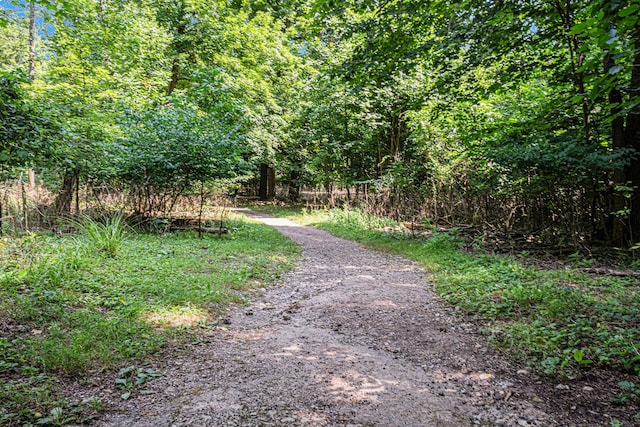 view of road