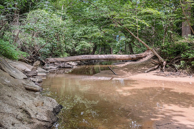 view of local wilderness featuring a water view