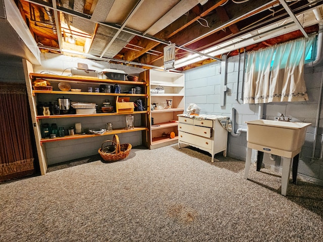 basement featuring carpet flooring