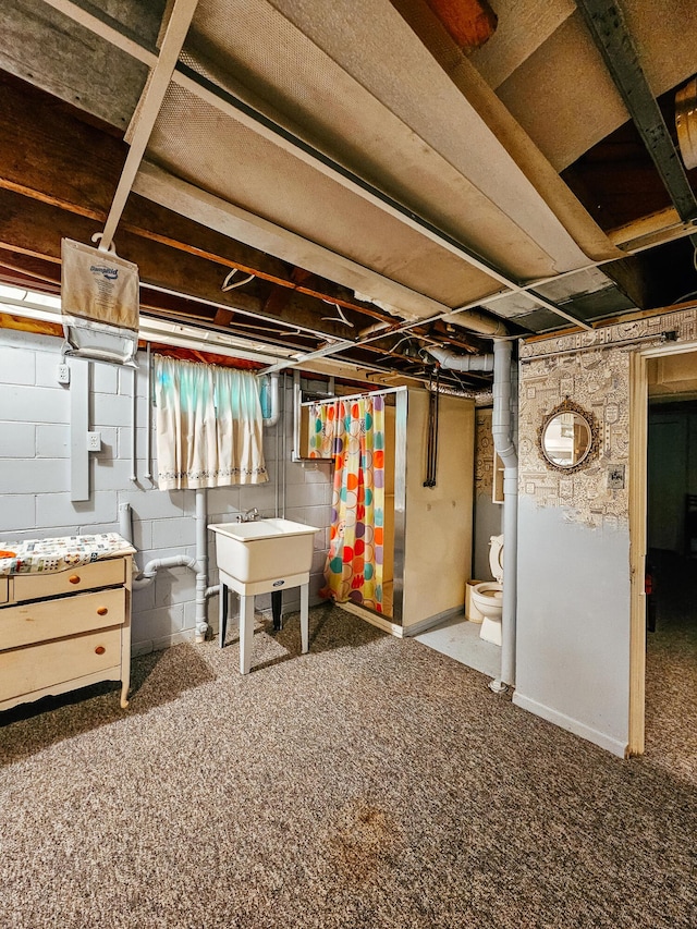 basement featuring sink and carpet floors