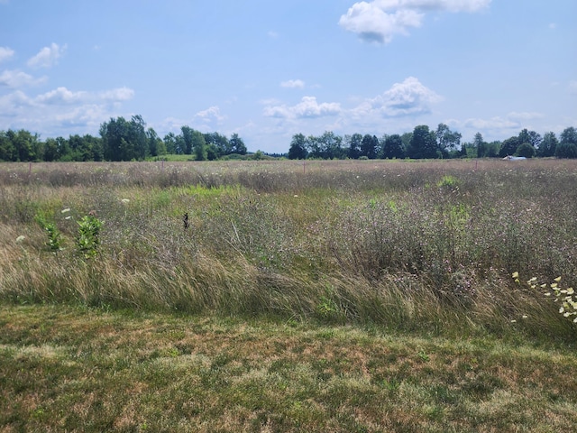 3615 S State Rd, Ionia MI, 48846 land for sale