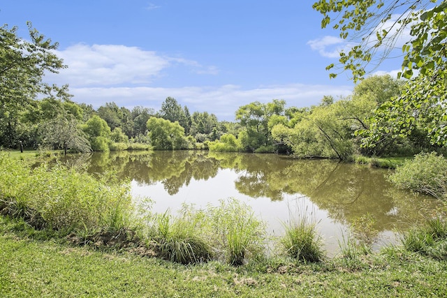 property view of water