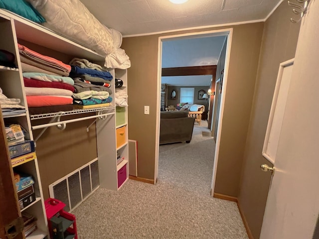 spacious closet with light carpet