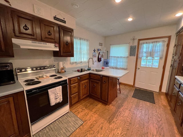 kitchen featuring electric stove, sink, kitchen peninsula, a healthy amount of sunlight, and light hardwood / wood-style flooring