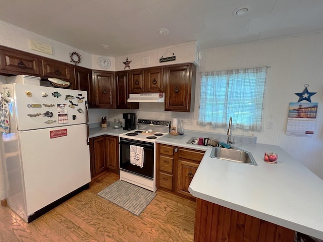 kitchen featuring range with electric stovetop, sink, white refrigerator, dark brown cabinets, and light hardwood / wood-style flooring