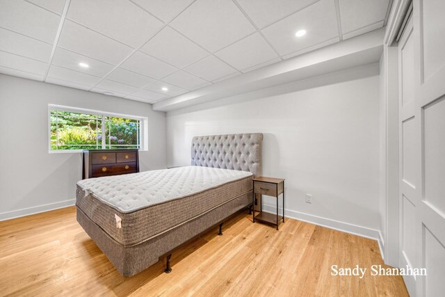 bedroom with a drop ceiling and light hardwood / wood-style floors