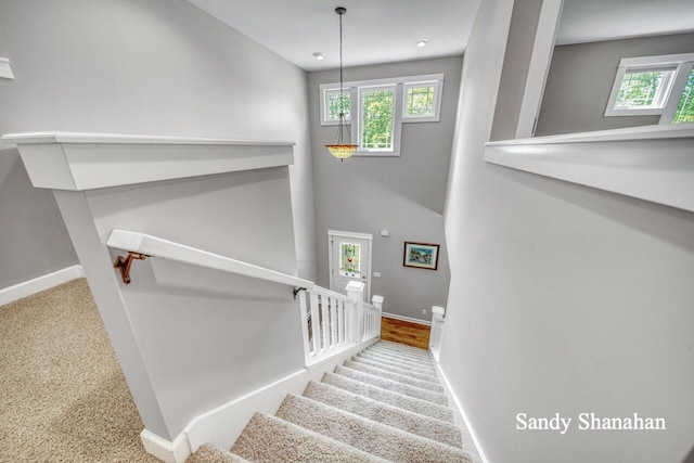 stairs featuring carpet flooring