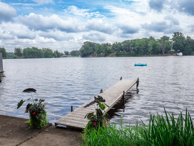 dock area with a water view