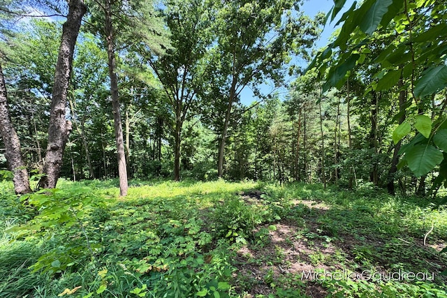VL W Irving Rd, Hastings, MI 49058