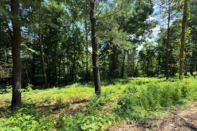 VL W Irving Rd, Hastings, MI 49058