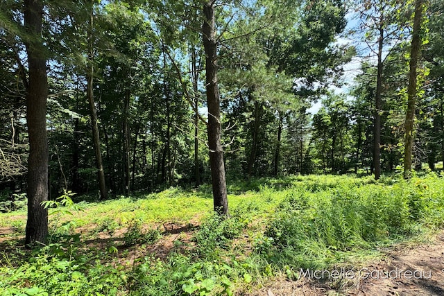 VL W Irving Rd, Hastings, MI 49058 - photo 2