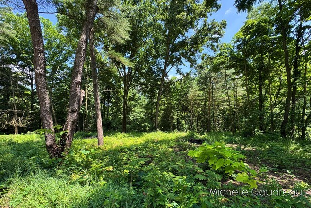 VL W Irving Rd, Hastings, MI 49058