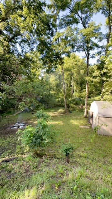 view of yard featuring an outdoor structure