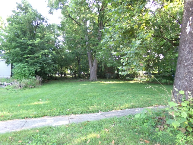 V/L Elm St, Paw Paw, MI 49079