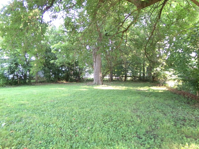 V/L Elm St, Paw Paw, MI 49079