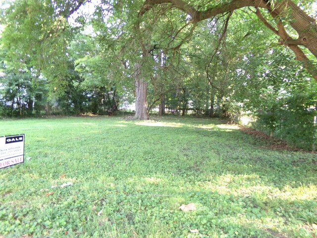 V/L Elm St, Paw Paw, MI 49079