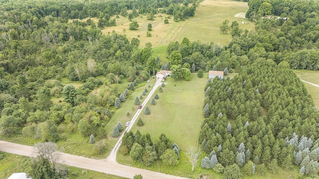 drone / aerial view