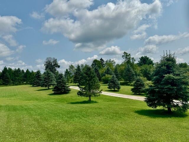 view of community with a yard and driveway