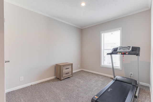 workout room featuring crown molding and carpet floors