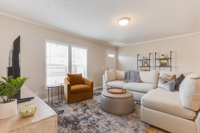 living room with ornamental molding and a textured ceiling